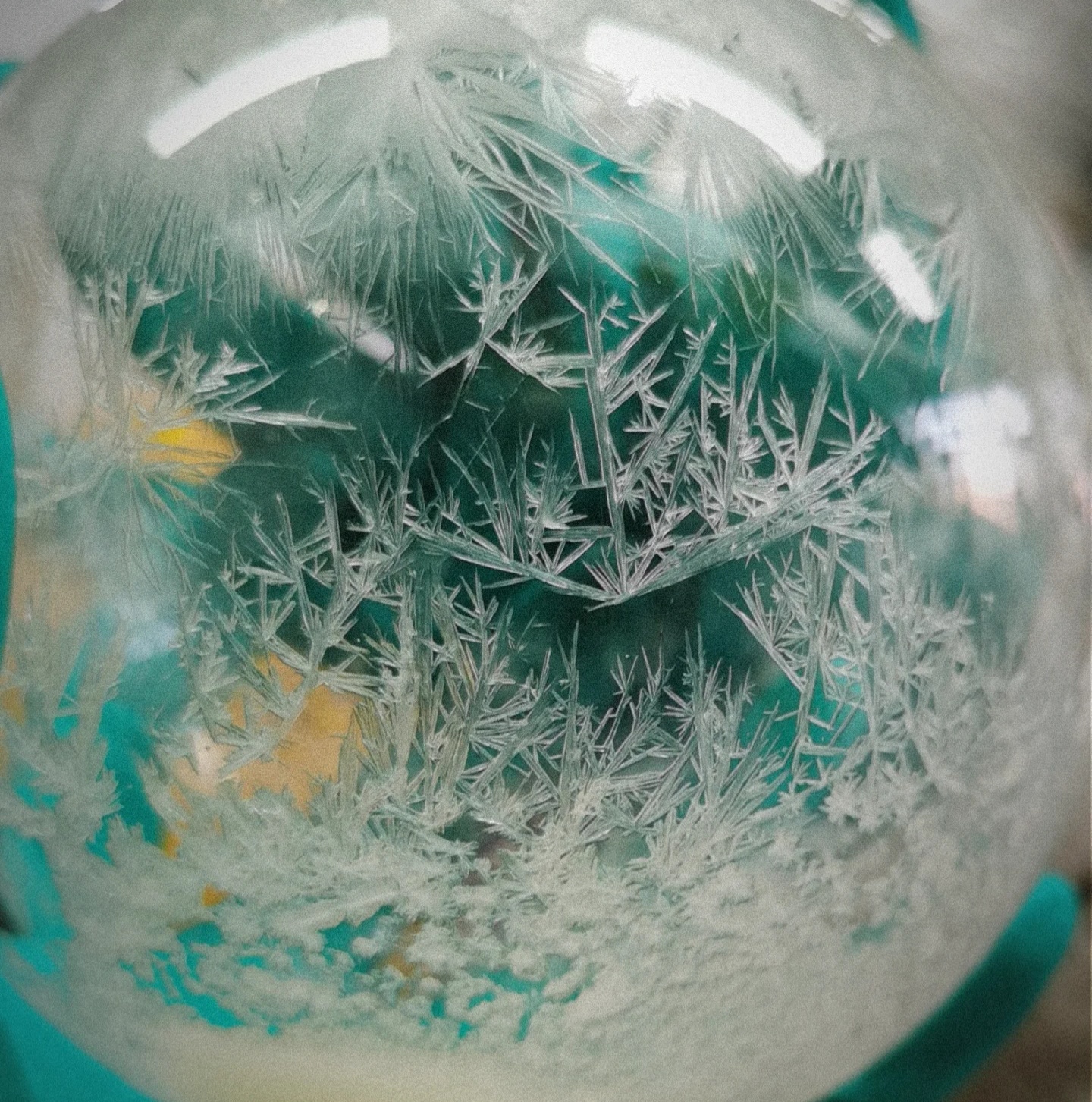 Recrystallization setup and process visualization